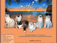 Tablet Screenshot of calirags-ragdolls.com